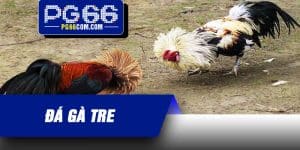 Đá Gà Tre